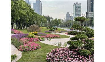 來現(xiàn)場打卡，感受“美麗無錫”的美好